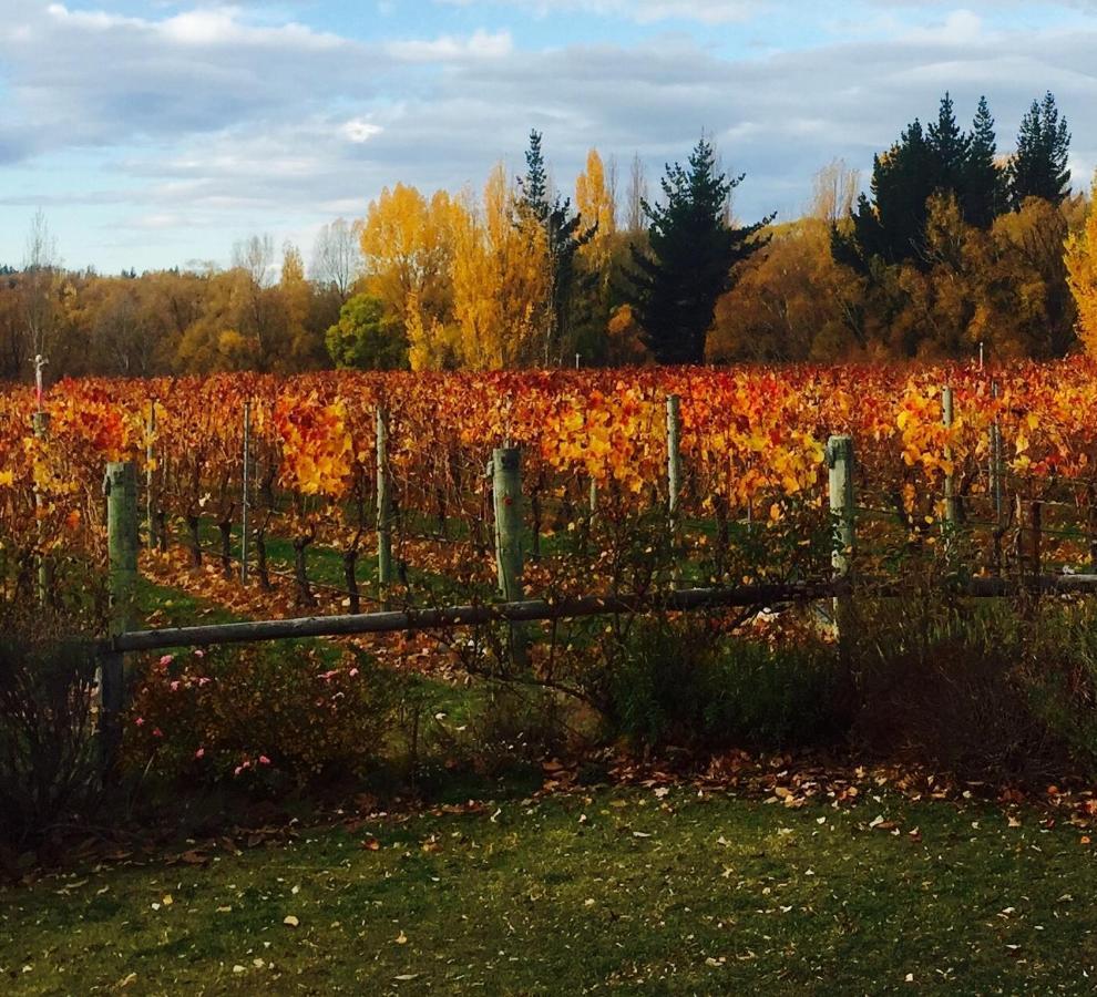 'The Crib' On Legacy Vineyard Villa Alexandra Oda fotoğraf