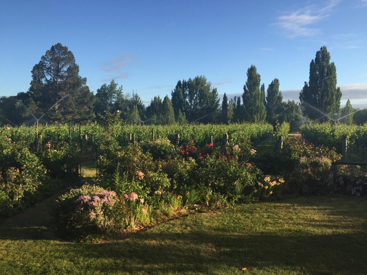 'The Crib' On Legacy Vineyard Villa Alexandra Oda fotoğraf